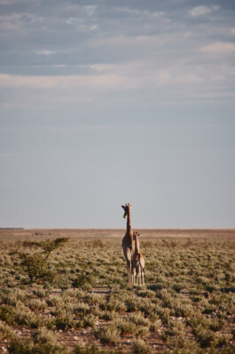 LAURA NENZ — Photography & Visual Storytelling