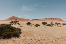 LAURA NENZ — Photography & Visual Storytelling