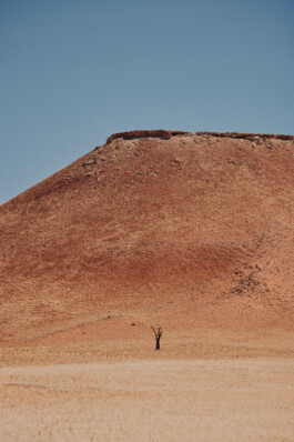 LAURA NENZ — Photography & Visual Storytelling