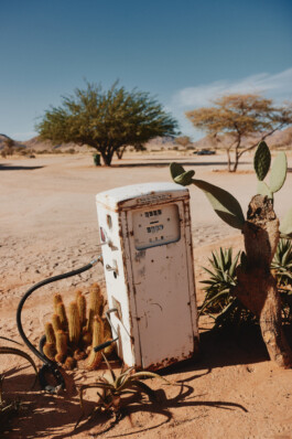 LAURA NENZ — Photography & Visual Storytelling