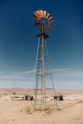 LAURA NENZ — Photography & Visual Storytelling