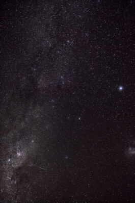 LAURA NENZ — Photography & Visual Storytelling