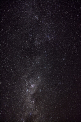 LAURA NENZ — Photography & Visual Storytelling