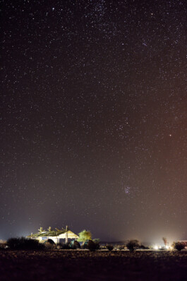 LAURA NENZ — Photography & Visual Storytelling