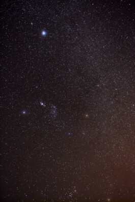 LAURA NENZ — Photography & Visual Storytelling