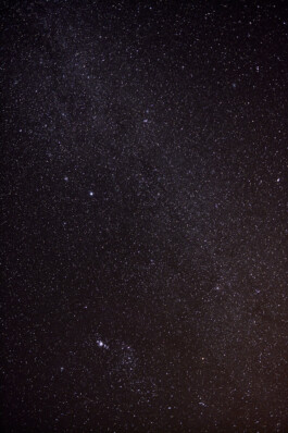 LAURA NENZ — Photography & Visual Storytelling