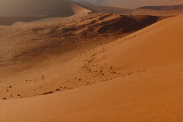 LAURA NENZ — Photography & Visual Storytelling