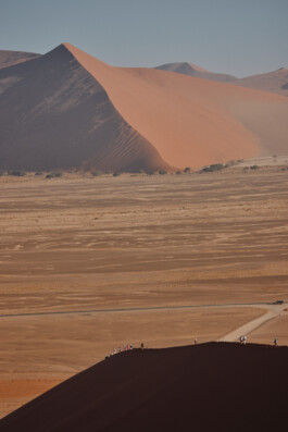 LAURA NENZ — Photography & Visual Storytelling