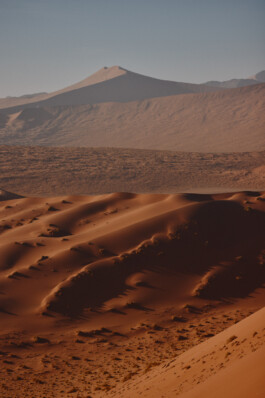 LAURA NENZ — Photography & Visual Storytelling