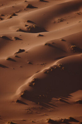 LAURA NENZ — Photography & Visual Storytelling