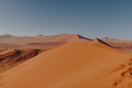 LAURA NENZ — Photography & Visual Storytelling