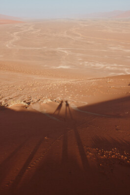 LAURA NENZ — Photography & Visual Storytelling