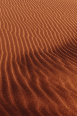 LAURA NENZ — Photography & Visual Storytelling