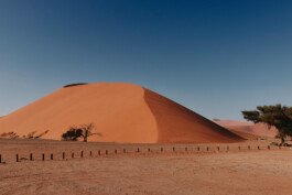 LAURA NENZ — Photography & Visual Storytelling