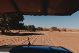 LAURA NENZ — Photography & Visual Storytelling