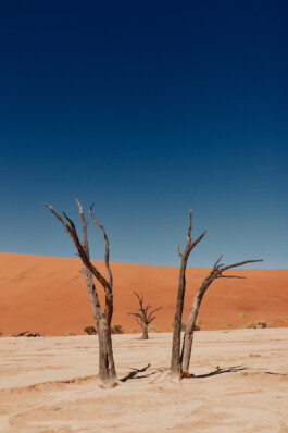 LAURA NENZ — Photography & Visual Storytelling