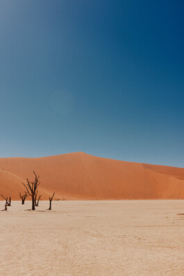 LAURA NENZ — Photography & Visual Storytelling