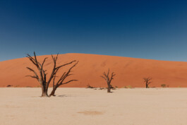 LAURA NENZ — Photography & Visual Storytelling