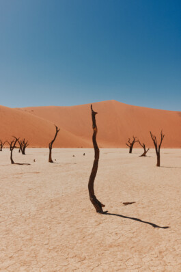 LAURA NENZ — Photography & Visual Storytelling