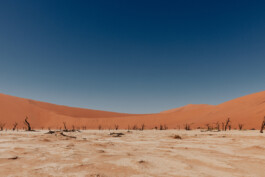 LAURA NENZ — Photography & Visual Storytelling