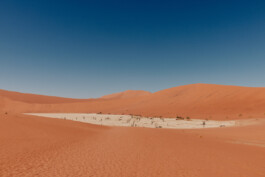 LAURA NENZ — Photography & Visual Storytelling