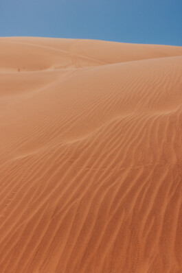 LAURA NENZ — Photography & Visual Storytelling