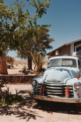 LAURA NENZ — Photography & Visual Storytelling