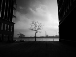 LAURA NENZ — Photography & Visual Storytelling