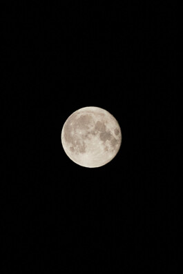 LAURA NENZ — Photography & Visual Storytelling