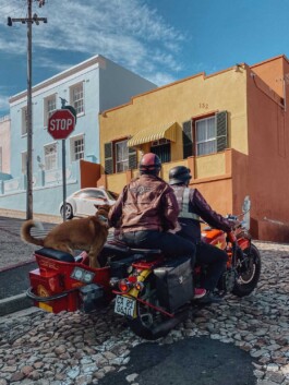 LAURA NENZ — Photography & Visual Storytelling