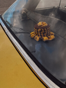 LAURA NENZ — Photography & Visual Storytelling