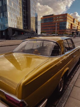 LAURA NENZ — Photography & Visual Storytelling