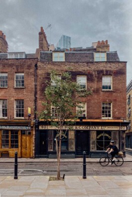 LAURA NENZ — Photography & Visual Storytelling