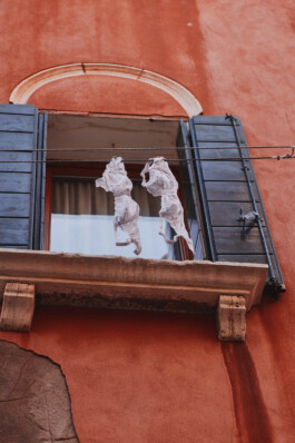 LAURA NENZ — Photography & Visual Storytelling