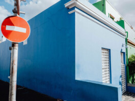 LAURA NENZ — Photography & Visual Storytelling