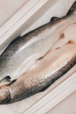 LAURA NENZ — Photography & Visual Storytelling