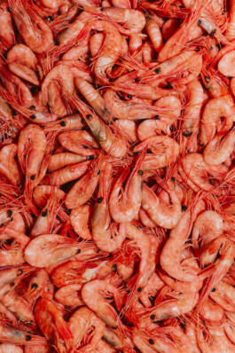 LAURA NENZ — Photography & Visual Storytelling