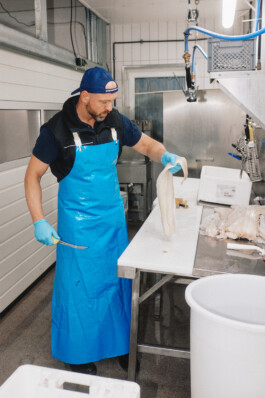 LAURA NENZ — Photography & Visual Storytelling