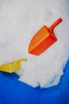 LAURA NENZ — Photography & Visual Storytelling