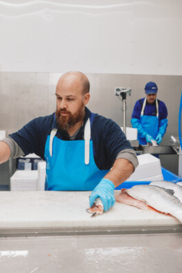 LAURA NENZ — Photography & Visual Storytelling