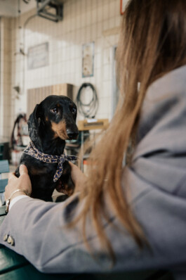 LAURA NENZ — Photography & Visual Storytelling