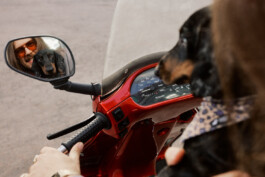 LAURA NENZ — Photography & Visual Storytelling