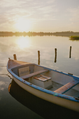 LAURA NENZ — Photography & Visual Storytelling