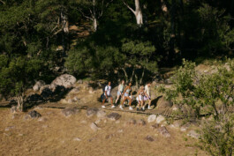 LAURA NENZ — Photography & Visual Storytelling