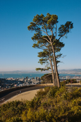 LAURA NENZ — Photography & Visual Storytelling